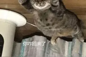 女子出门忘记关空调，匆忙赶回家一看愣住：这是演的哪出？图片