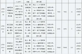 超高起拍价！洛龙1010万/亩，伊滨700万/亩超地王，洛阳9宗地入市图片