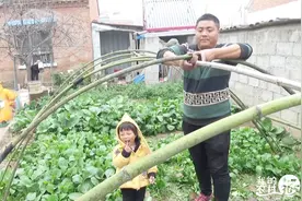 农家小院冬天还绿意盎然，简易蔬菜大棚做好了，父女俩乐的不行！视频封面