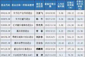简单比较十一位成长价值基金经理图片