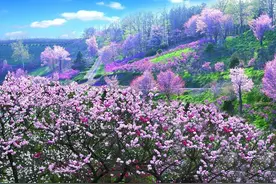 对联：一夜春风万树花（上联？）图片