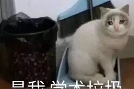 那些开学的表情包图片