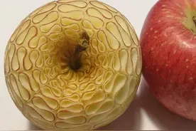 日本厨师的精湛刀工：蔬果蔬菜在他手中化身艺术品图片