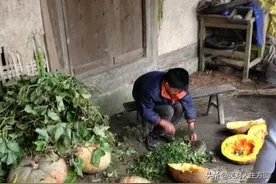散文：我苦涩的童年图片