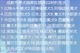 成都：限养区范围内的禁养犬开展收容处置 注意看看哪些是禁养犬视频封面