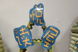 鸡蛋托和纸箱做成的立体区域规则，为老师创意点赞图片