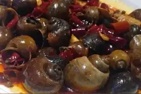 福寿螺到底能不能吃？图片