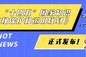《“十四五”国家知识产权保护和运用规划》正式发布！文旅产业要这样做图片