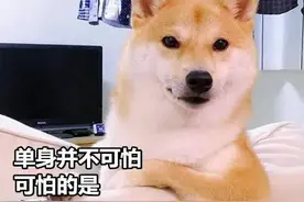 假如取消三胎以上罚款？在青白江，你愿意生三个吗？图片