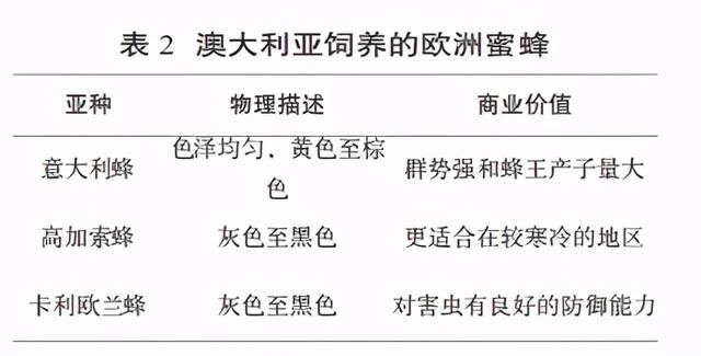 澳大利亚蜂胶胶囊一天吃几粒 2026年澳大利亚蜂胶胶囊的作用与功效