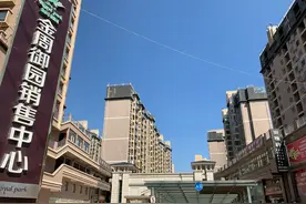 周至法院低价拍卖金周御园小区精装复式房产一套图片