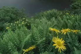 这么热的天发这么高的取暖费让老师们既暖心又寒心，地区差异吧图片