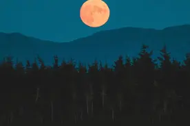 今夜月明人尽望，不知秋思落谁家图片