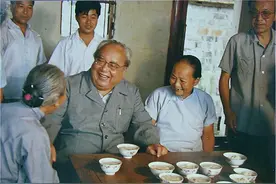 纪念费孝通先生，他教会我社会学的“看功”图片
