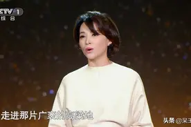 央视《故事里的中国》定档，节目海报意外公开主持人选择图片