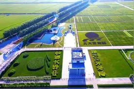 丰收北大荒 中华大粮仓 十大网红大地号等您来“打卡”图片