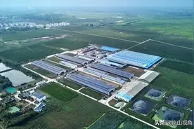 “卫岗样本”！《人民日报》为这家“牛”企业点赞图片