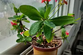 发自己的光就好，不要吹灭别人的灯图片