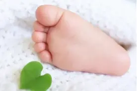 深秋季节，宝宝这几个部位最怕冷，妈妈要注意保护好，才能不生病图片
