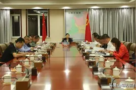 黄敏主持召开全国、自治区审计查出问题和破坏草原林地违规违法行为专项整治工作安排部署会图片