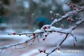 大雪满弓刀图片