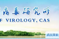 “人造病毒”泄露？抢注专利不厚道？武汉病毒所回应图片