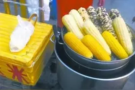 黑龙江姐俩创业卖玉米，从失败到成功历尽艰难，最终赚了大钱(1)图片
