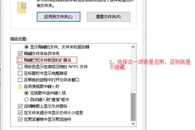 电脑的文件扩展名图片