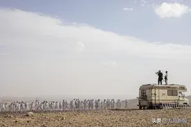 300人在死海边拍群体裸照 身涂彩绘 用行为艺术呼吁关注死海困境图片