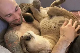 养熊不能满足俄罗斯人了！这种猛兽都被当成宠物了？图片