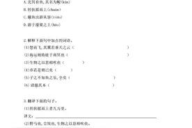 人教版八年级语文下册第六单元课课练。含答案解析，高清图可打印图片