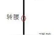 浅说乒乓 8 —— 多顶胯，少转腰的由来图片