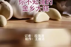 经导视角 | 你不知道的金乡大蒜图片