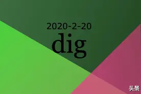 「2020-2-20」dig图片