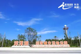 漳泽湖湿地公园：夏日美景“荷”处寻图片
