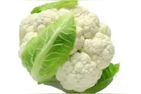 在家做菜之合理统筹节省时间图片