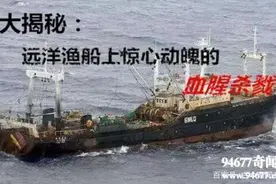 “鲁荣渔2682号”上的惊天血案图片