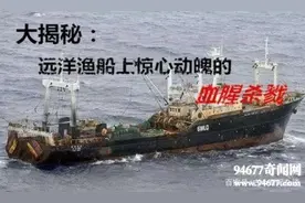 “鲁荣渔2682号”上的惊天血案图片