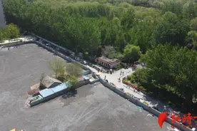 新增停车位646个，去济南森林公园停车不用再发愁了图片