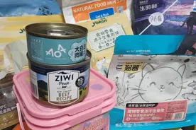 猫粮存放有妙招—Uah有哈猫狗智能真空储粮桶图片