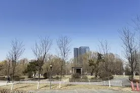 放晴！辽宁本轮沙尘天气基本结束图片