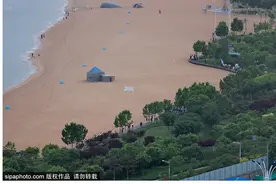 暑期去北戴河看海拾贝喂动物，乐趣满满图片