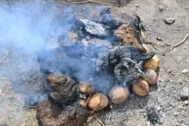 云南这些“乡巴佬烧烤”，虽然土得掉渣，但是好吃到飞起图片