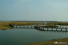 合肥有一个大草原，面积32万平方米，起起伏伏能满足你的草原梦图片