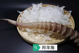 中药古今研究：羚羊角图片