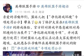 英雄联盟手游首次公布游戏内违规处罚，但力度似乎有点"小"图片