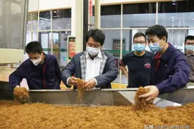体制内工作真香吗？研究生争着进卷烟厂，知情人透露：想升职太难图片
