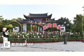 多彩文艺迎佳节！九条线路，畅游五大历史文化街区图片