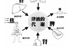 痰在肺则咳，痰在胃则呕！五种痰证的表现和治疗你知道多少？图片