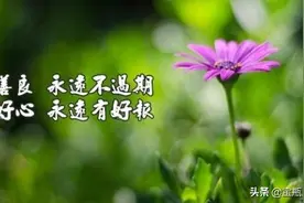 二战未解之谜：手术室里的重逢图片